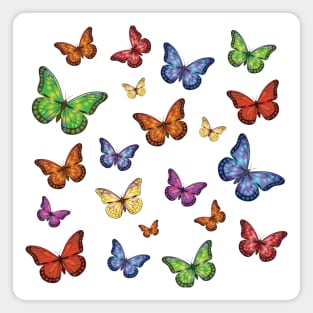 Bright multicolored butterflies Magnet